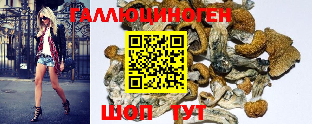 Галлюциногенные грибы Psilocybine cubensis  Галлюциногенные грибы Psilocybe  Вход с VPN  где купить наркоту  Сургут 